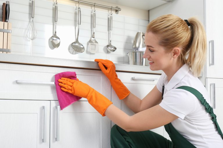 The Benefits of Appliance Cleaning for Homeowners