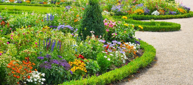 What Are the Best Landscaping Tips for Homeowners?