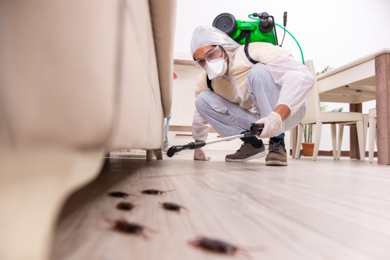 What Are the Benefits of Hiring the Best Pest Control Service?