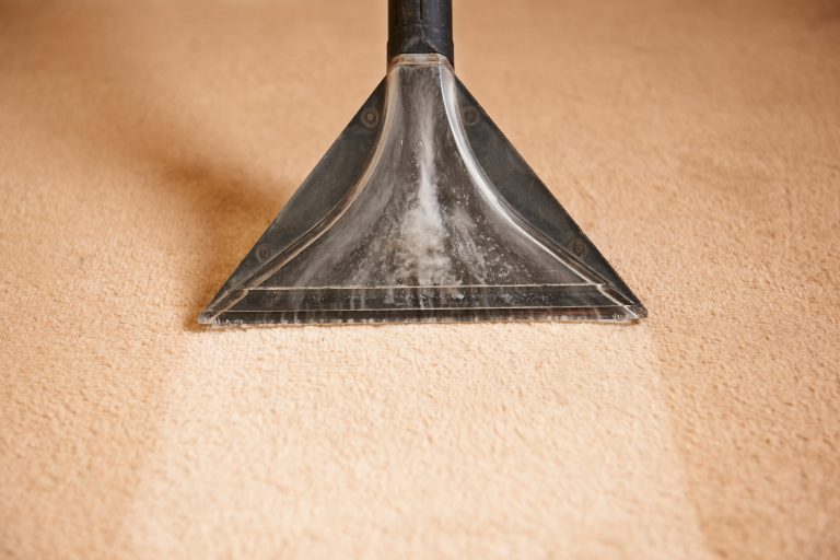 The Benefits of Hiring Professional Carpet Cleaners
