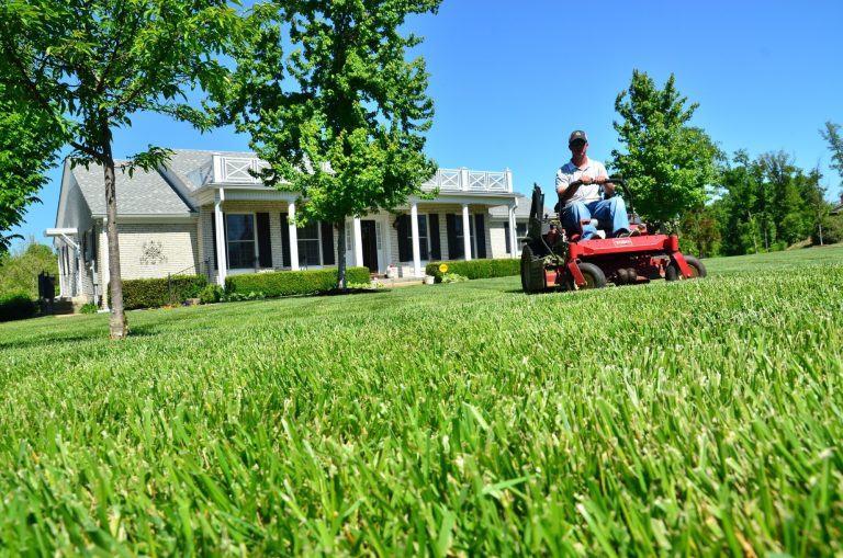 3 Simple Steps for Starting a Lawn Care Business