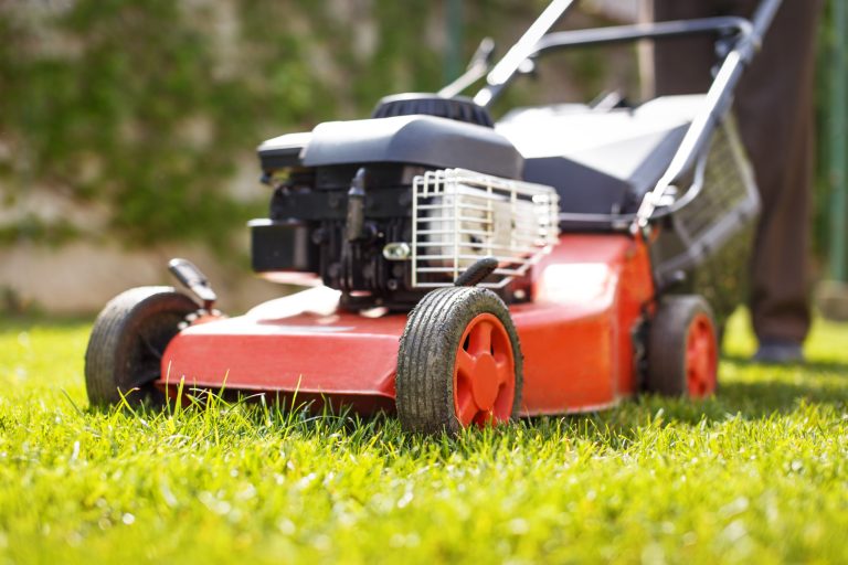 5 Questions to Ask Before Hiring a Lawn Care Company