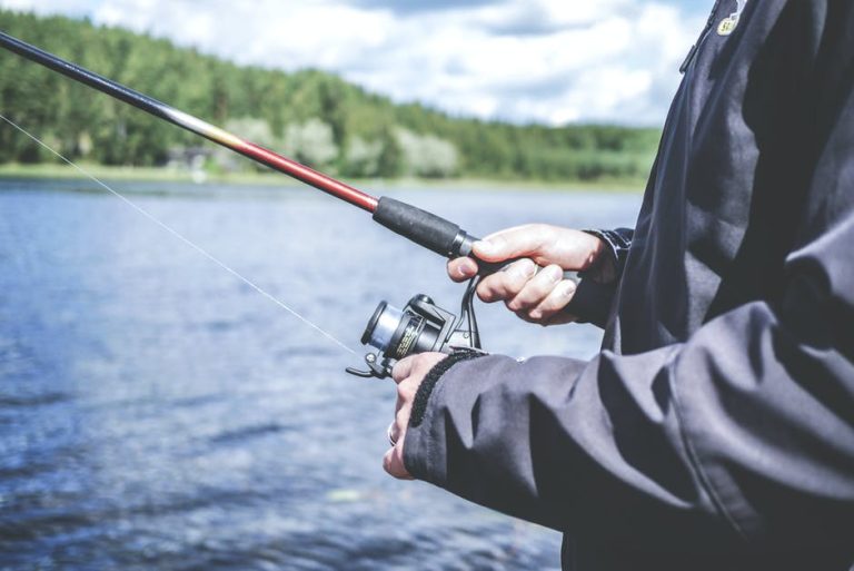 A Complete Fishing Guide for Beginners