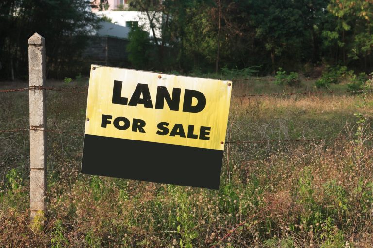 Owning Undeveloped Land: How to Assess Its Value