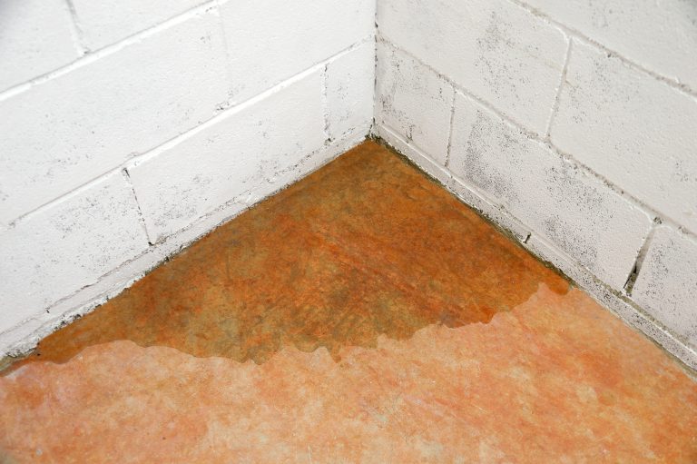 5 Sneaky Signs of a Leaking Pipe in A Wall