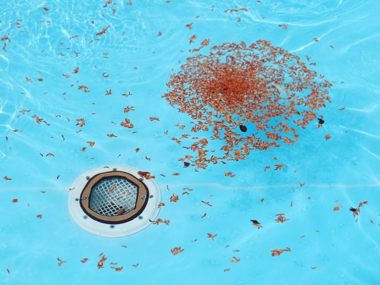 What’s the Easiest Way to Drain a Pool? Let’s Find Out!