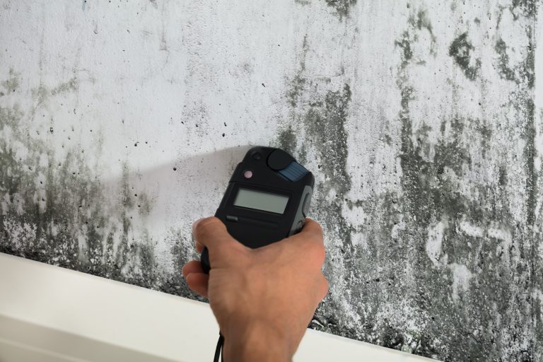 4 Benefits of Residential Mold Testing