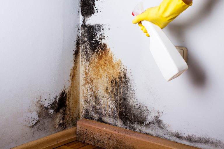 9 Common Mistakes in Mold Removal and How to Avoid Them