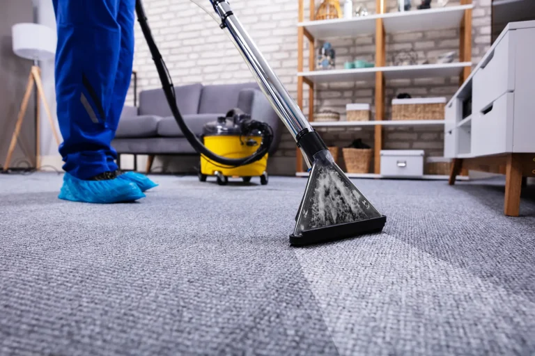 Professional Carpet Cleaning: A Deep Dive into Cleanliness